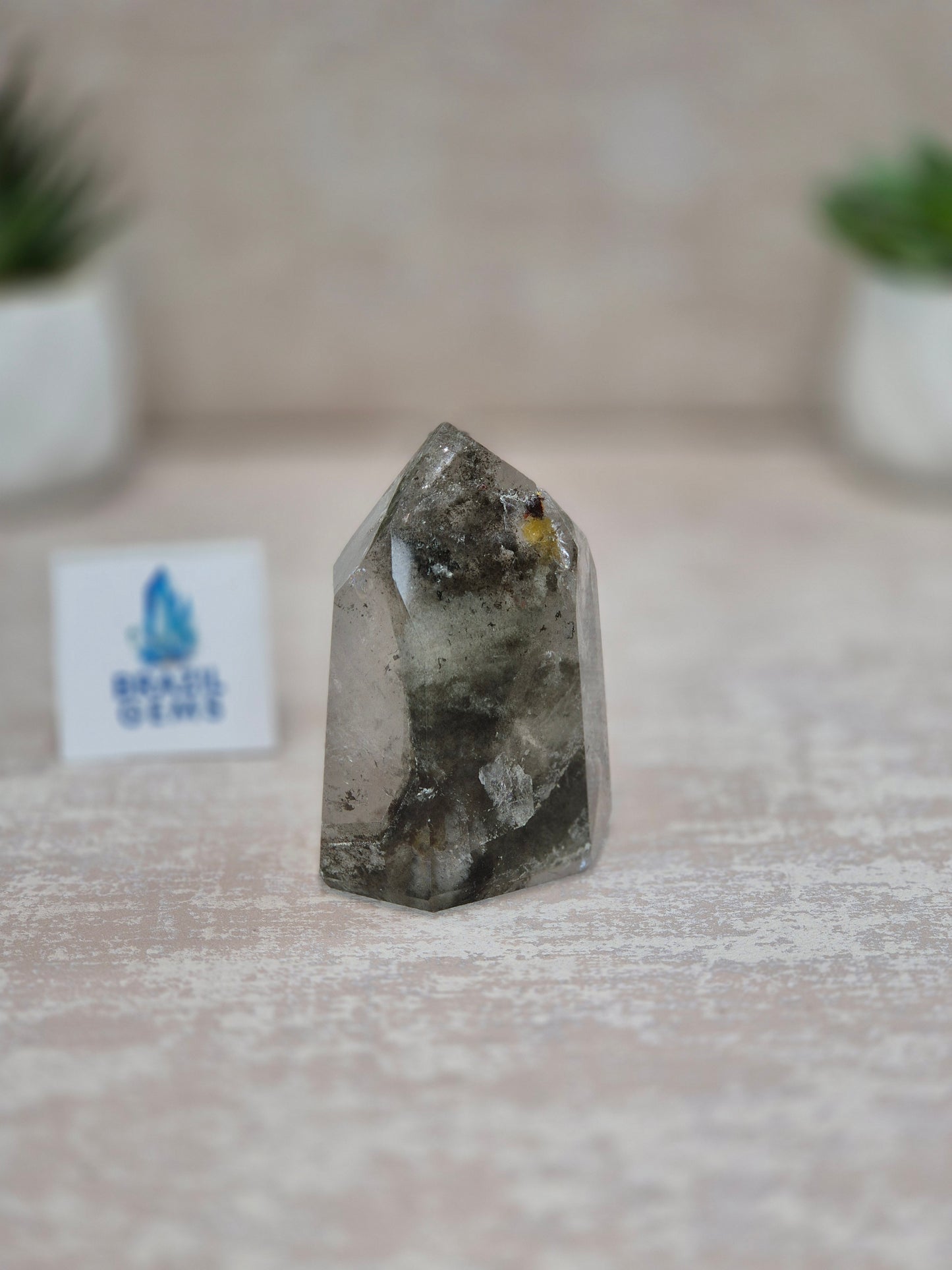 Clear Quartz with Chlorite Inclusions Point