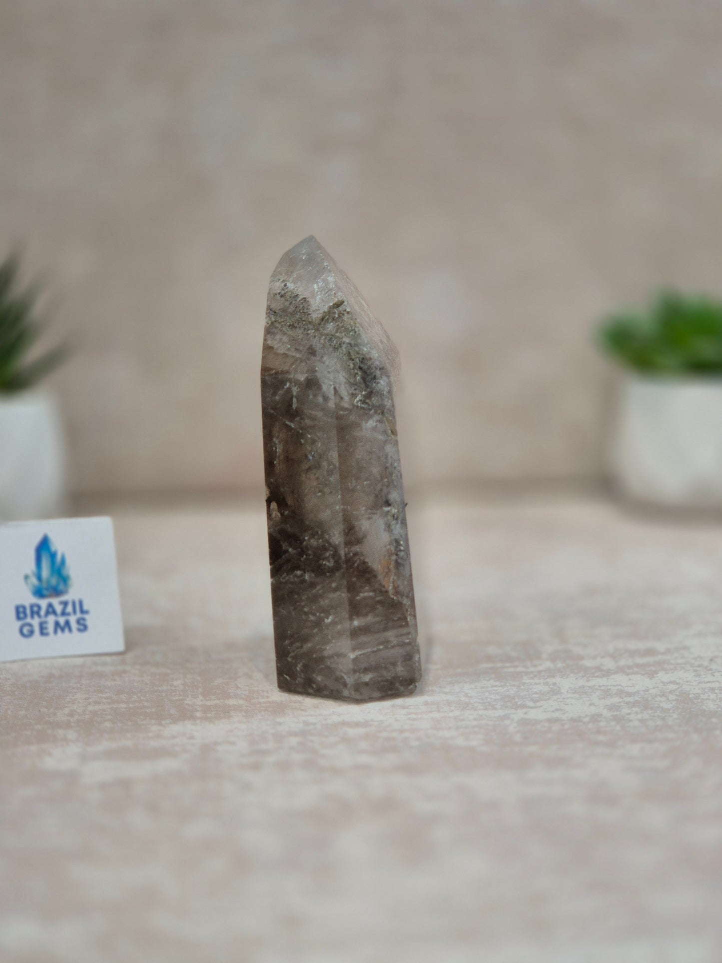 Clear Smoky Quartz with Lodolite Inclusions Point