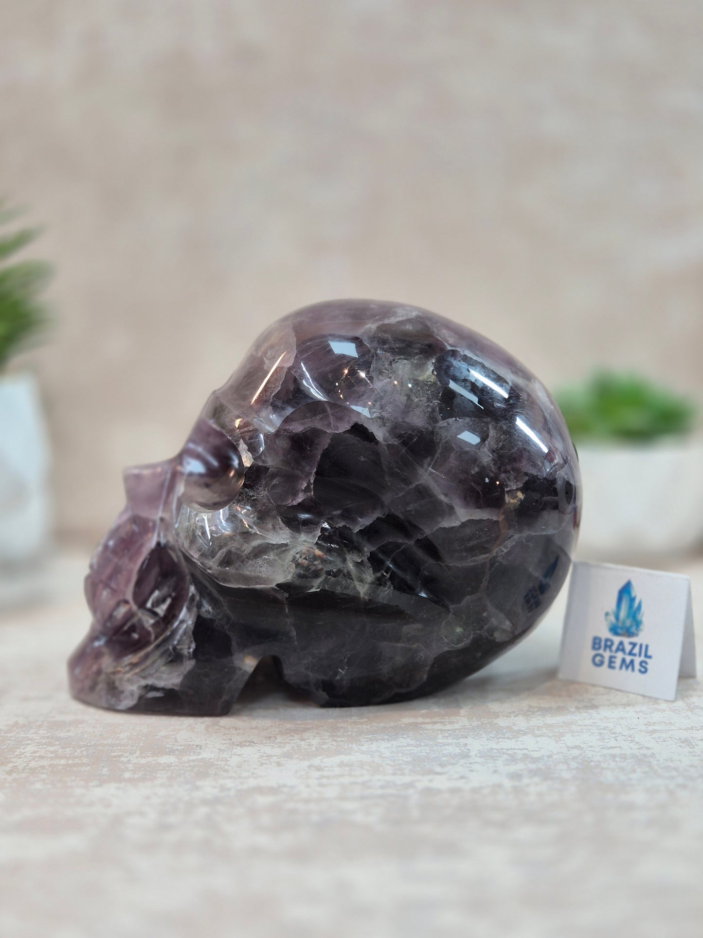 Purple and Green Fluorite Skull