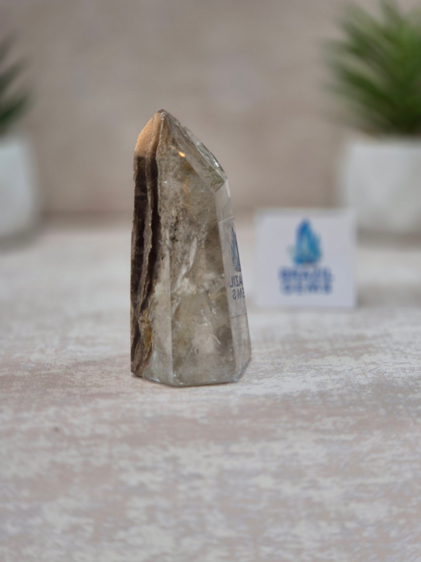 Smoky Quartz with Lodolite Layers at the back Point