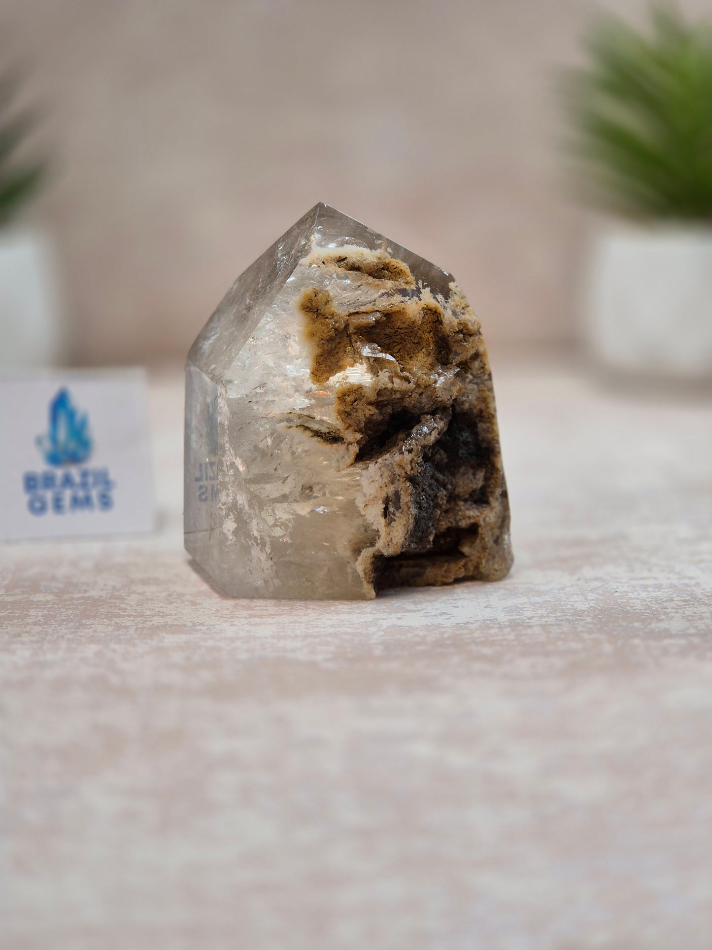 Smoky Quartz with Lodolite Inclusions Point