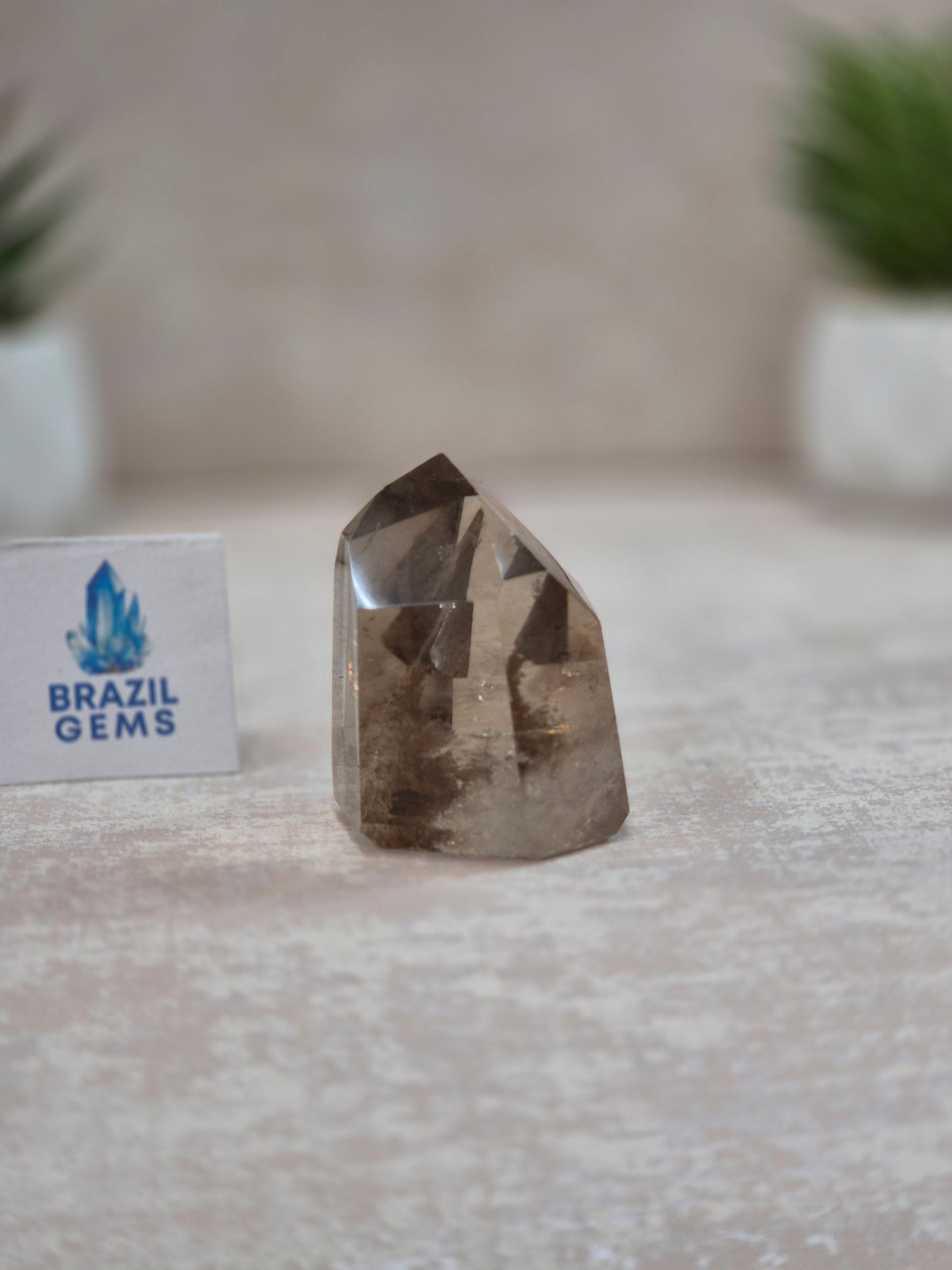 Smoky Quartz with Lodolite Inclusions Point