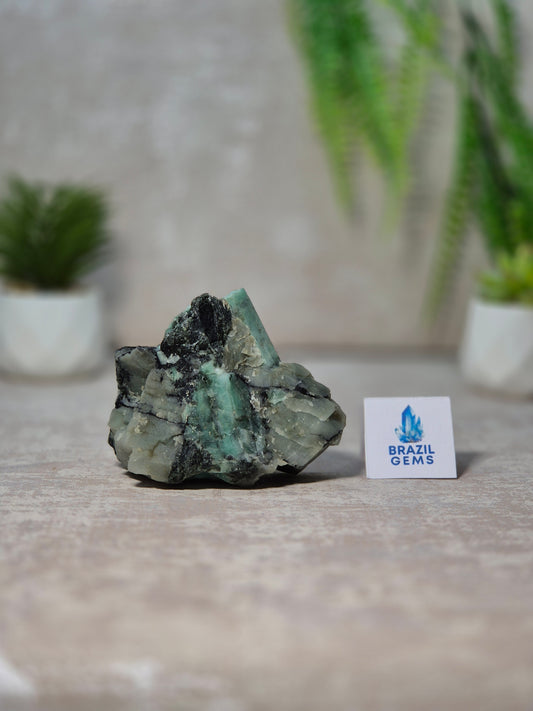 Emerald specimen on Xist