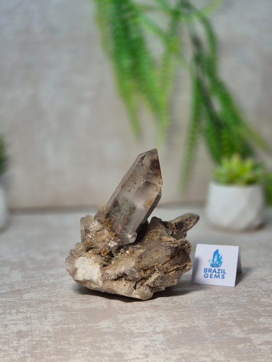 Lodolite Quartz Cluster