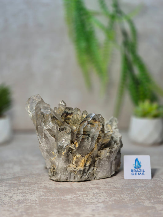 Lodolite Quartz Cluster