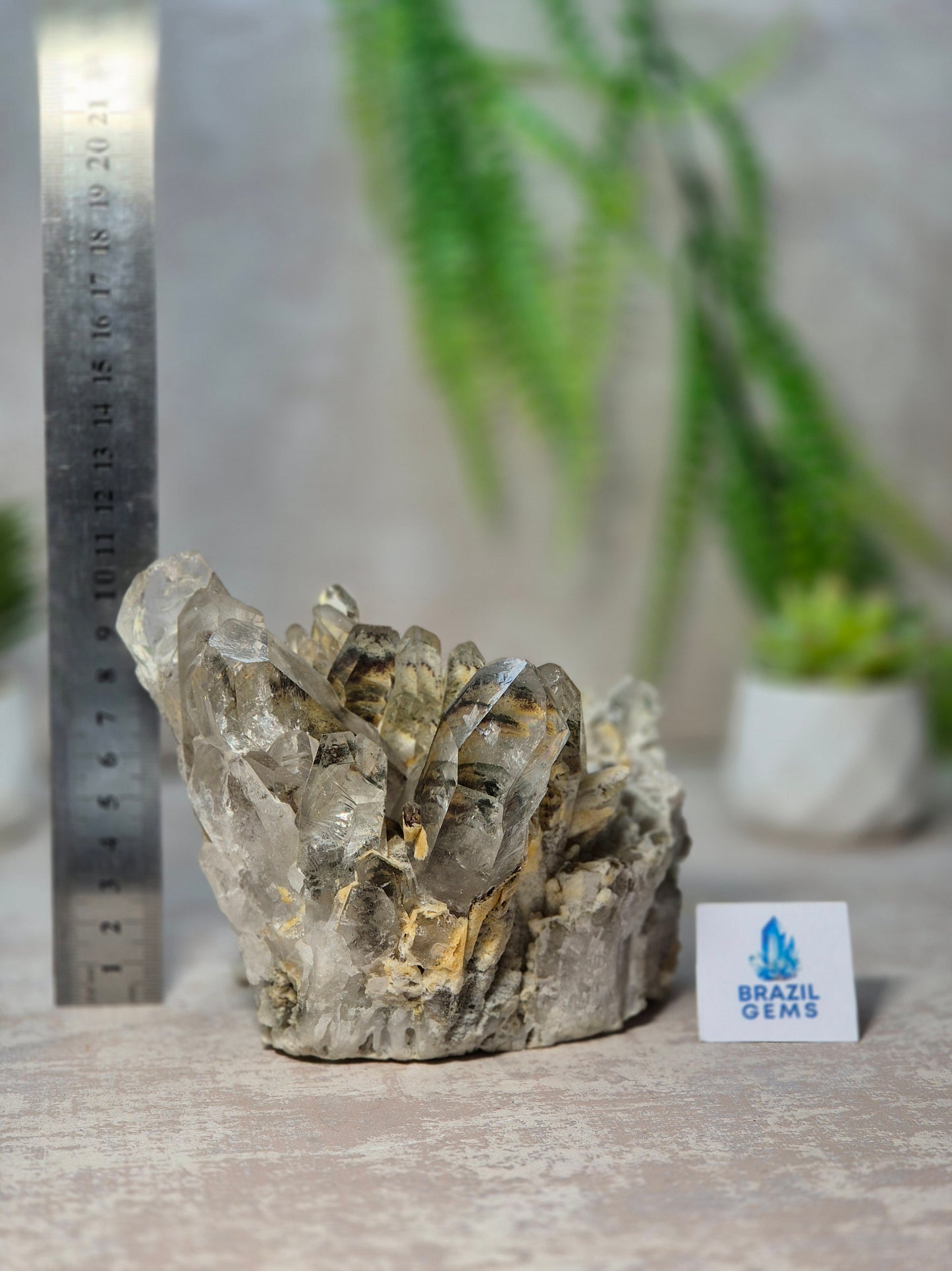 Lodolite Quartz Cluster