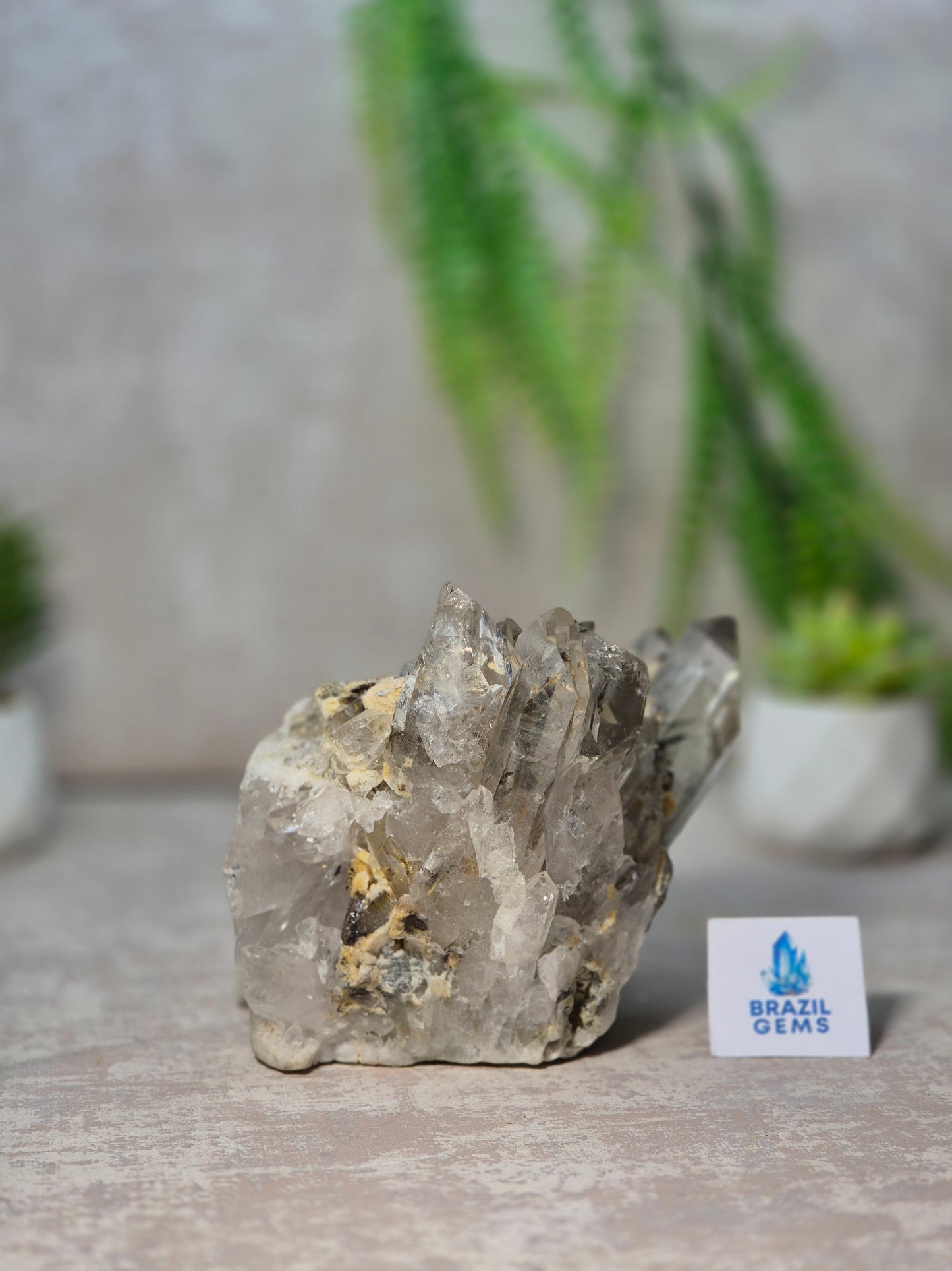 Lodolite Quartz Cluster