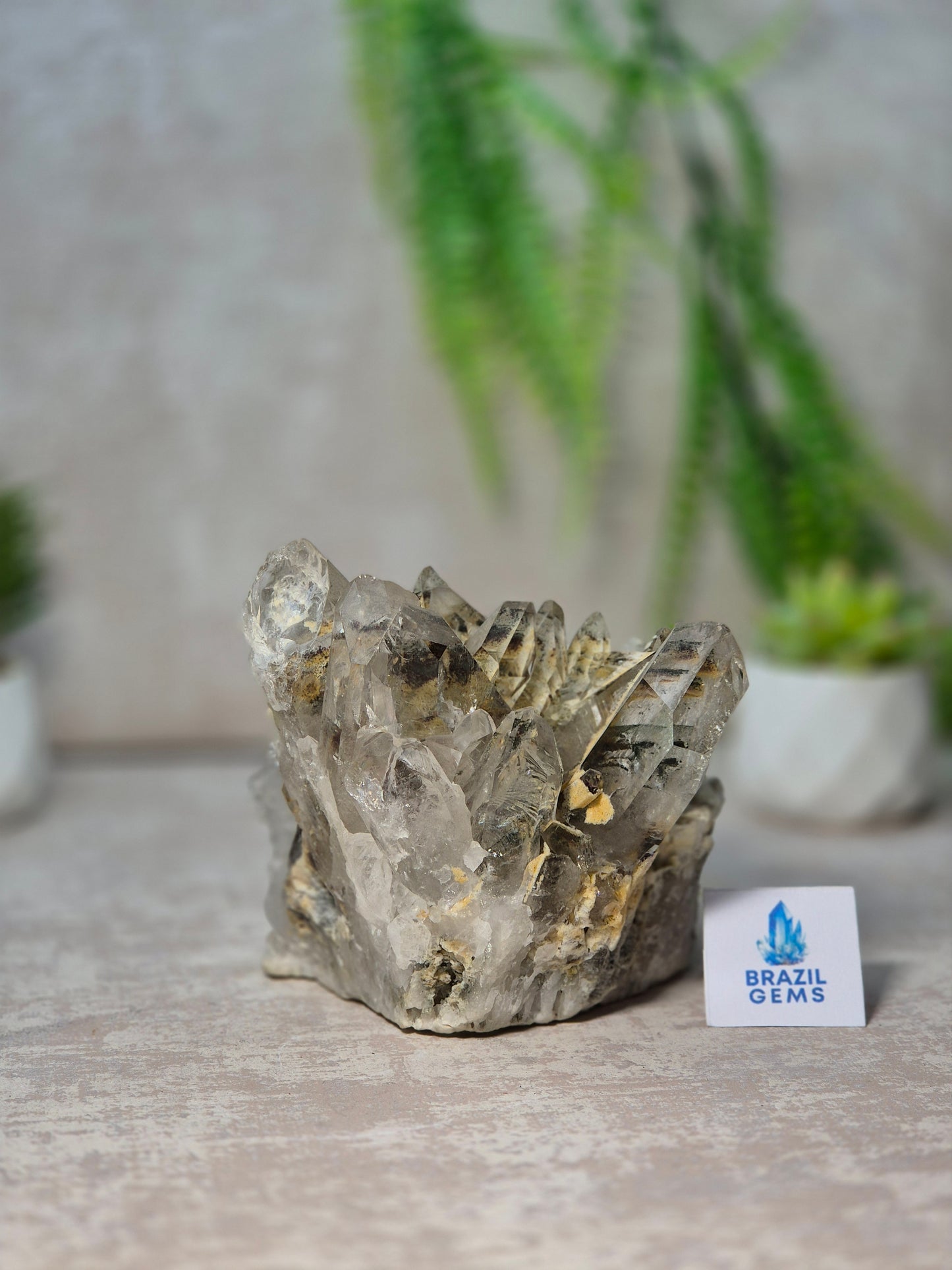 Lodolite Quartz Cluster