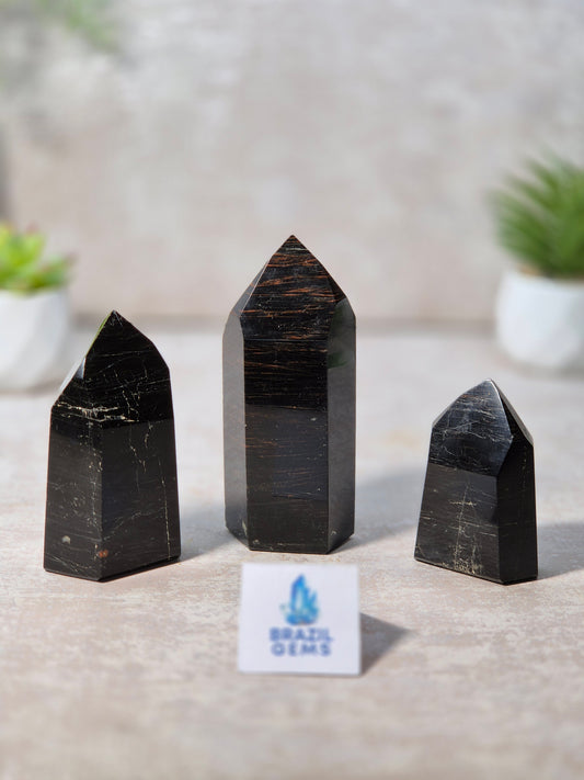 Black Tourmaline with Oxidation Point