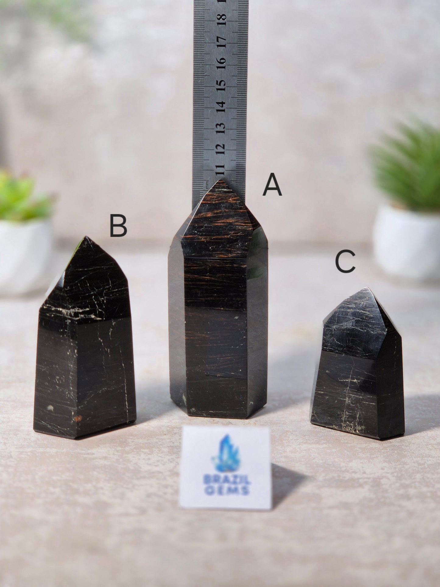 Black Tourmaline with Oxidation Point