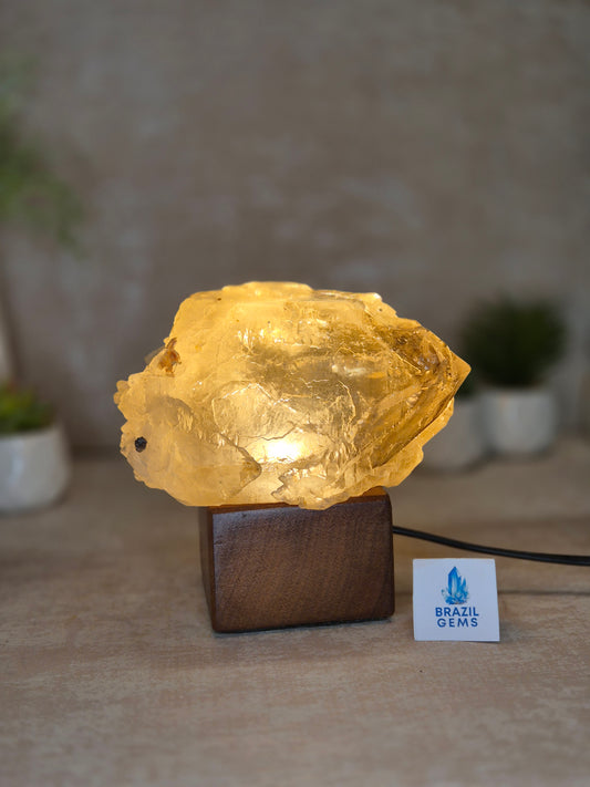 Citrine and Smoky Quartz Elestial
