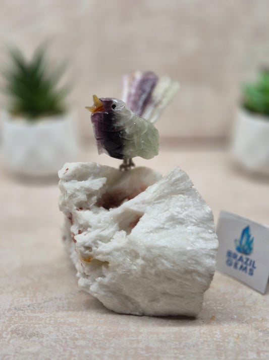 Fluorite Bird on Albite Base