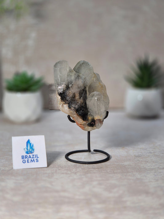 Lodolite Quartz Cluster on stand