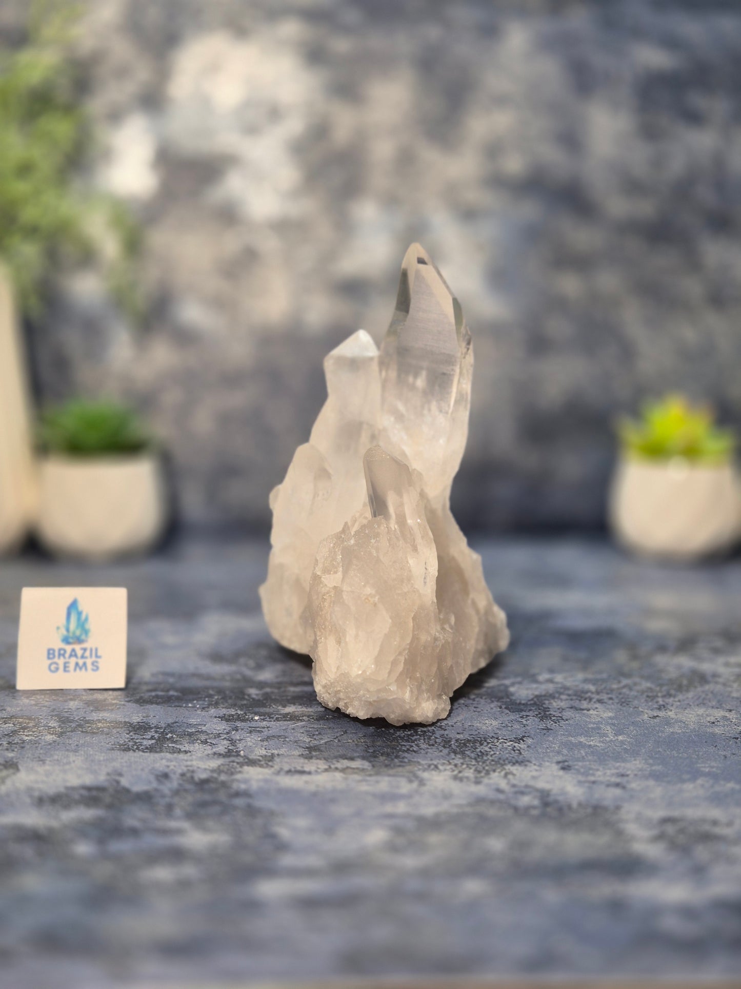 Lemurian Quartz Cluster