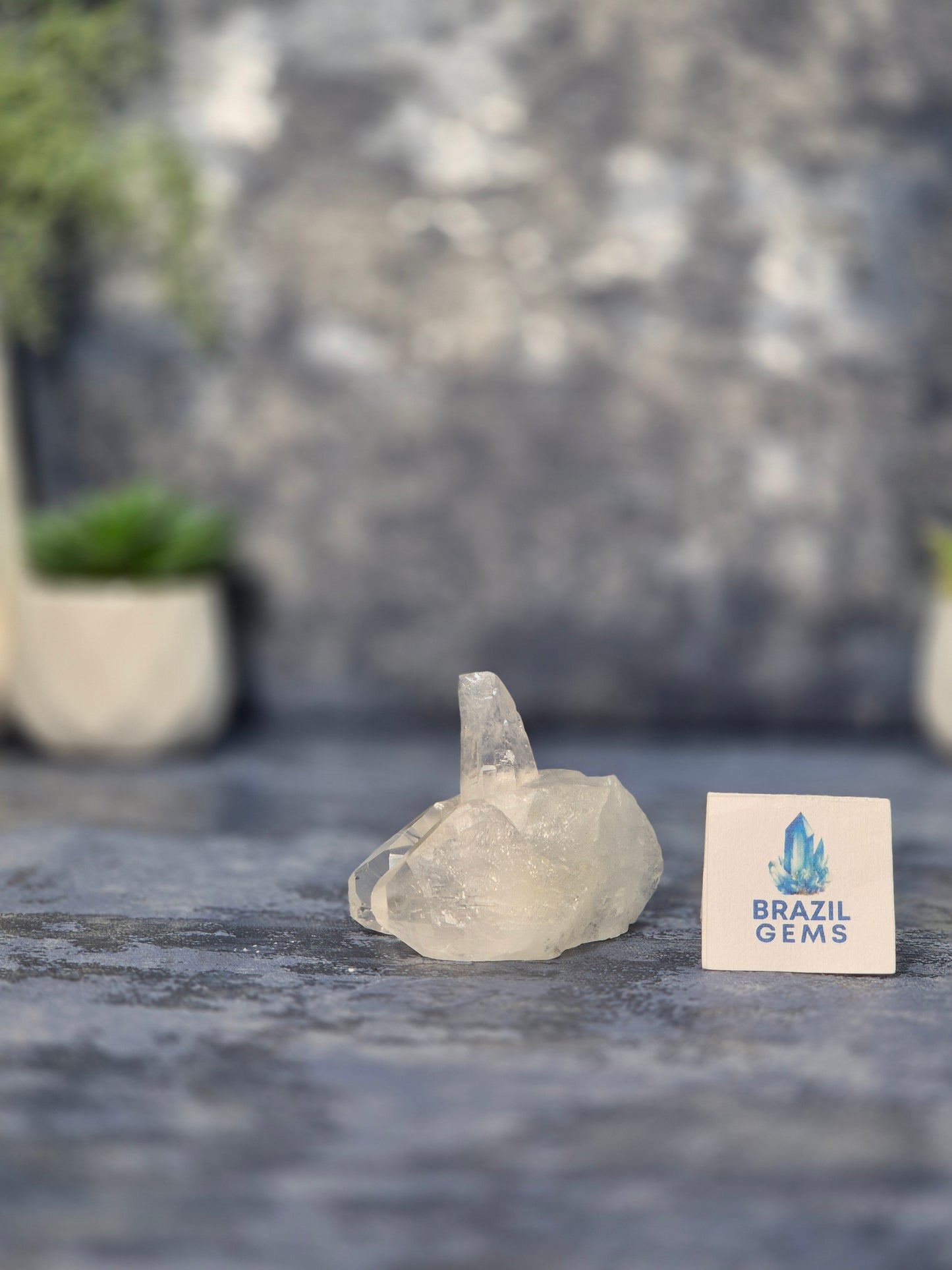 Lemurian Quartz Cluster