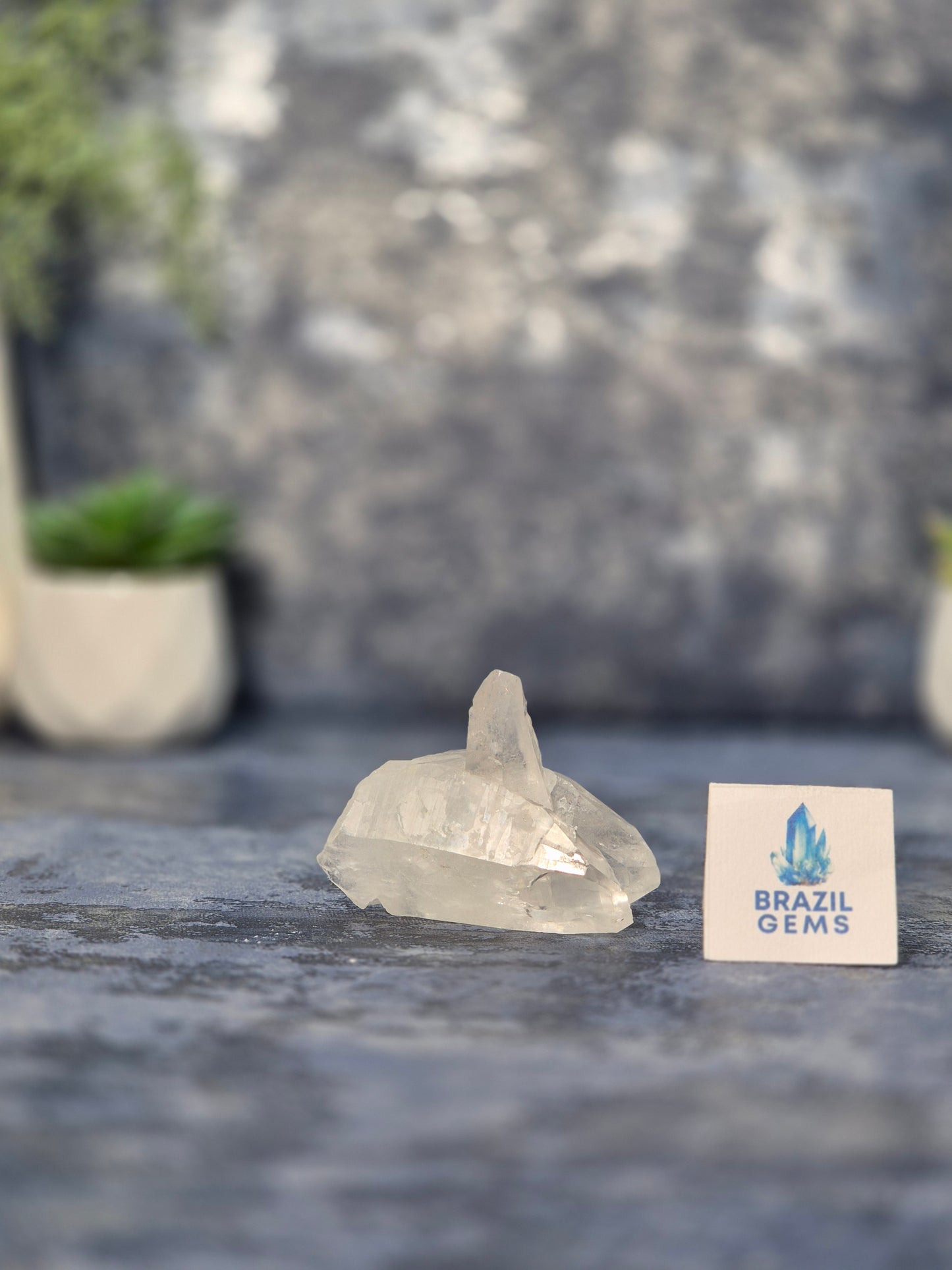 Lemurian Quartz Cluster