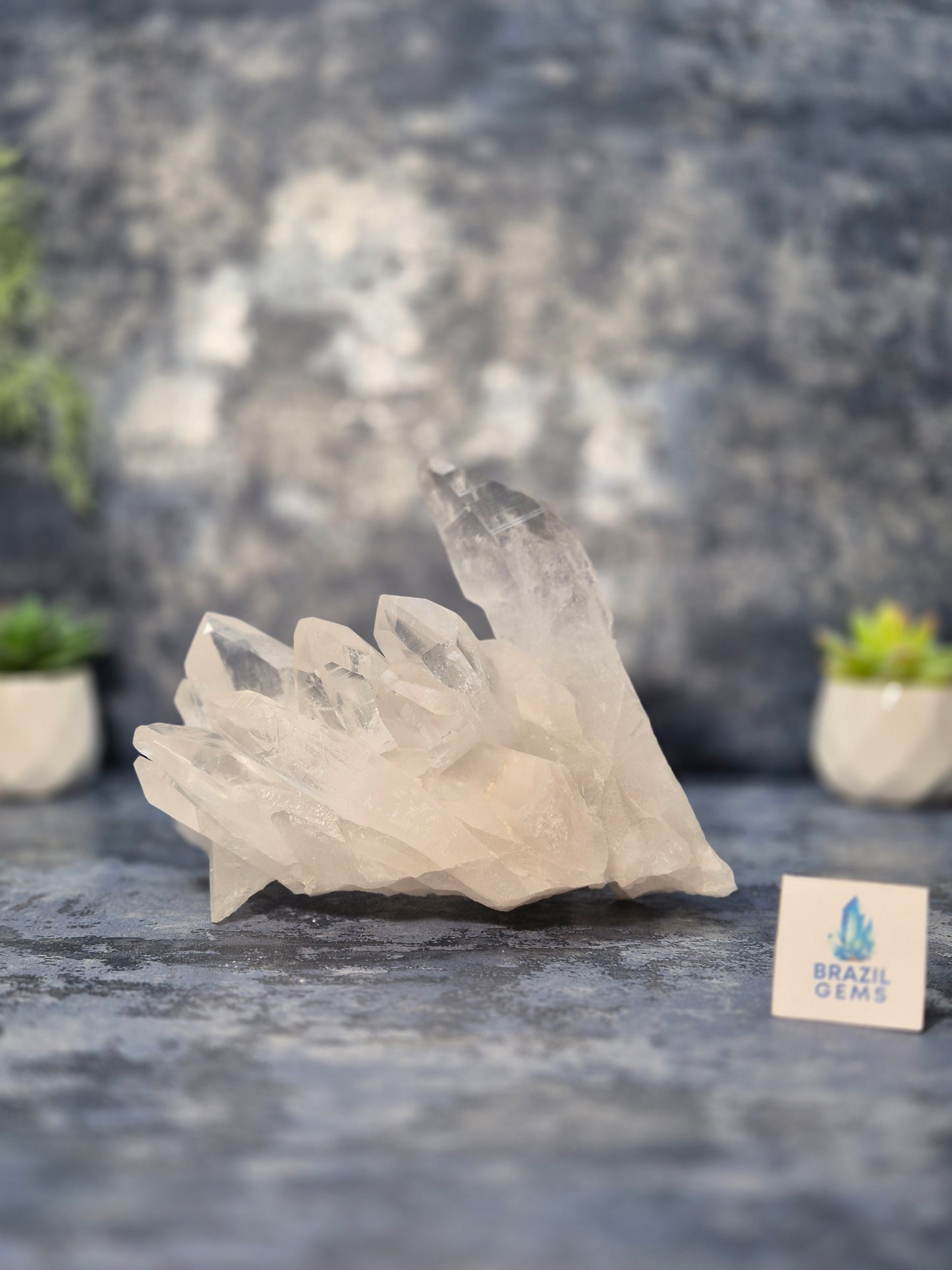 Lemurian Quartz Cluster