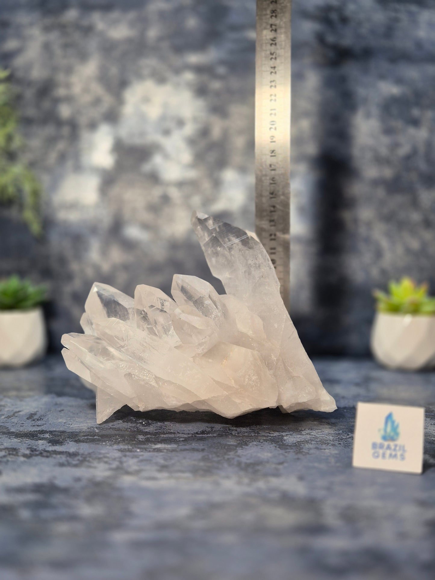 Lemurian Quartz Cluster