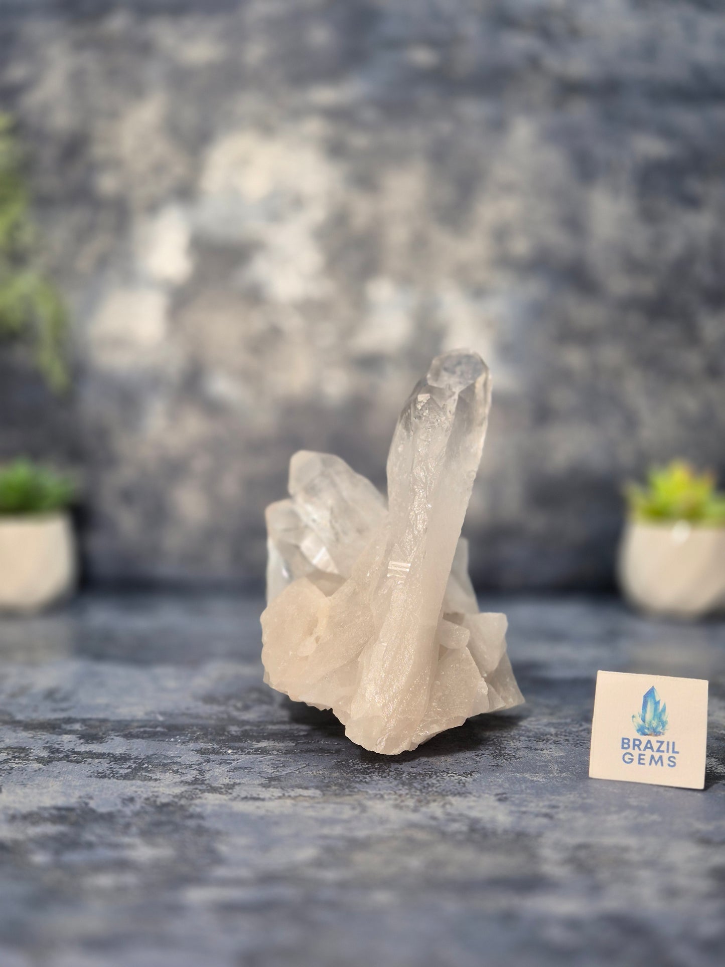 Lemurian Quartz Cluster