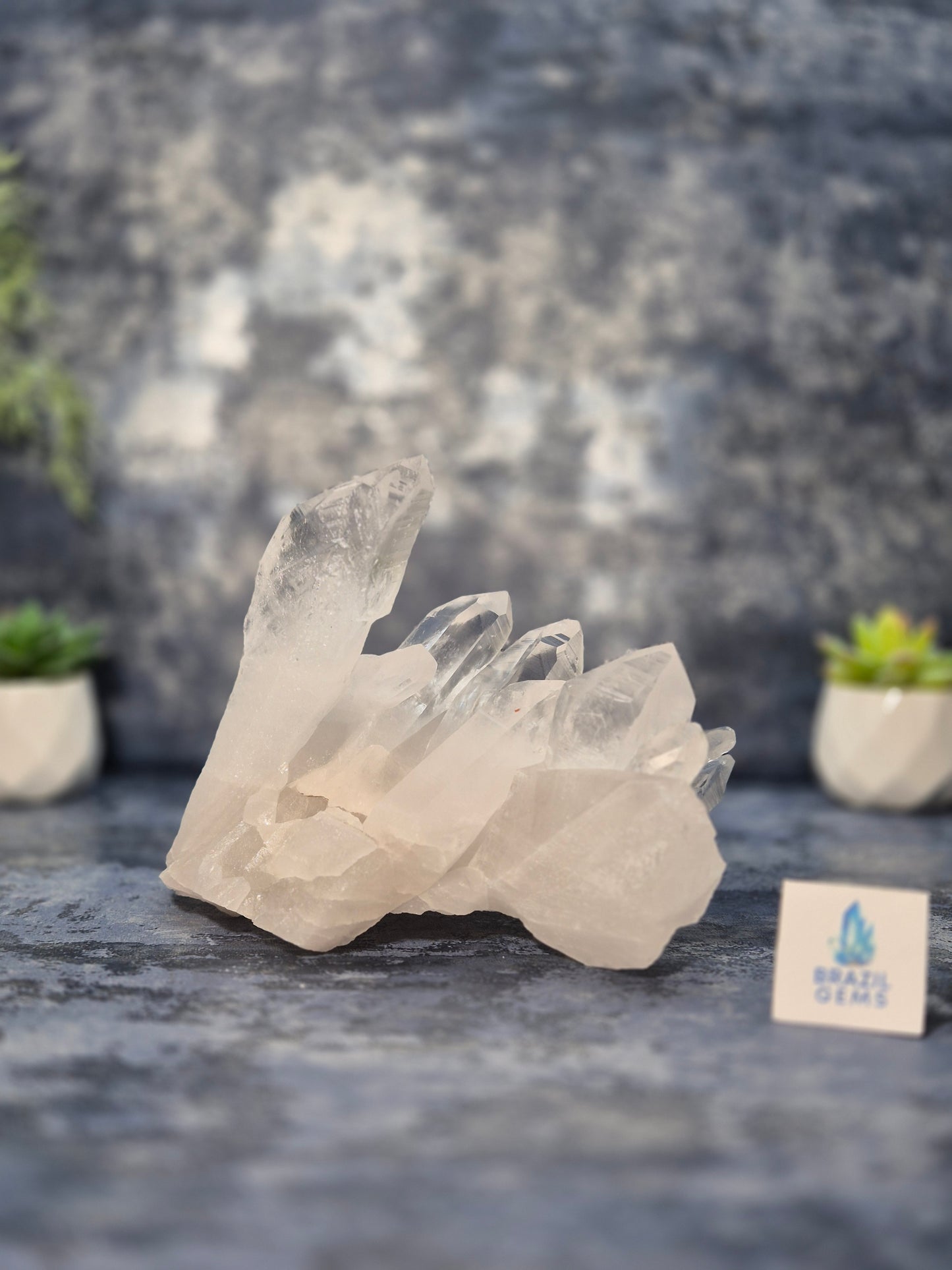 Lemurian Quartz Cluster