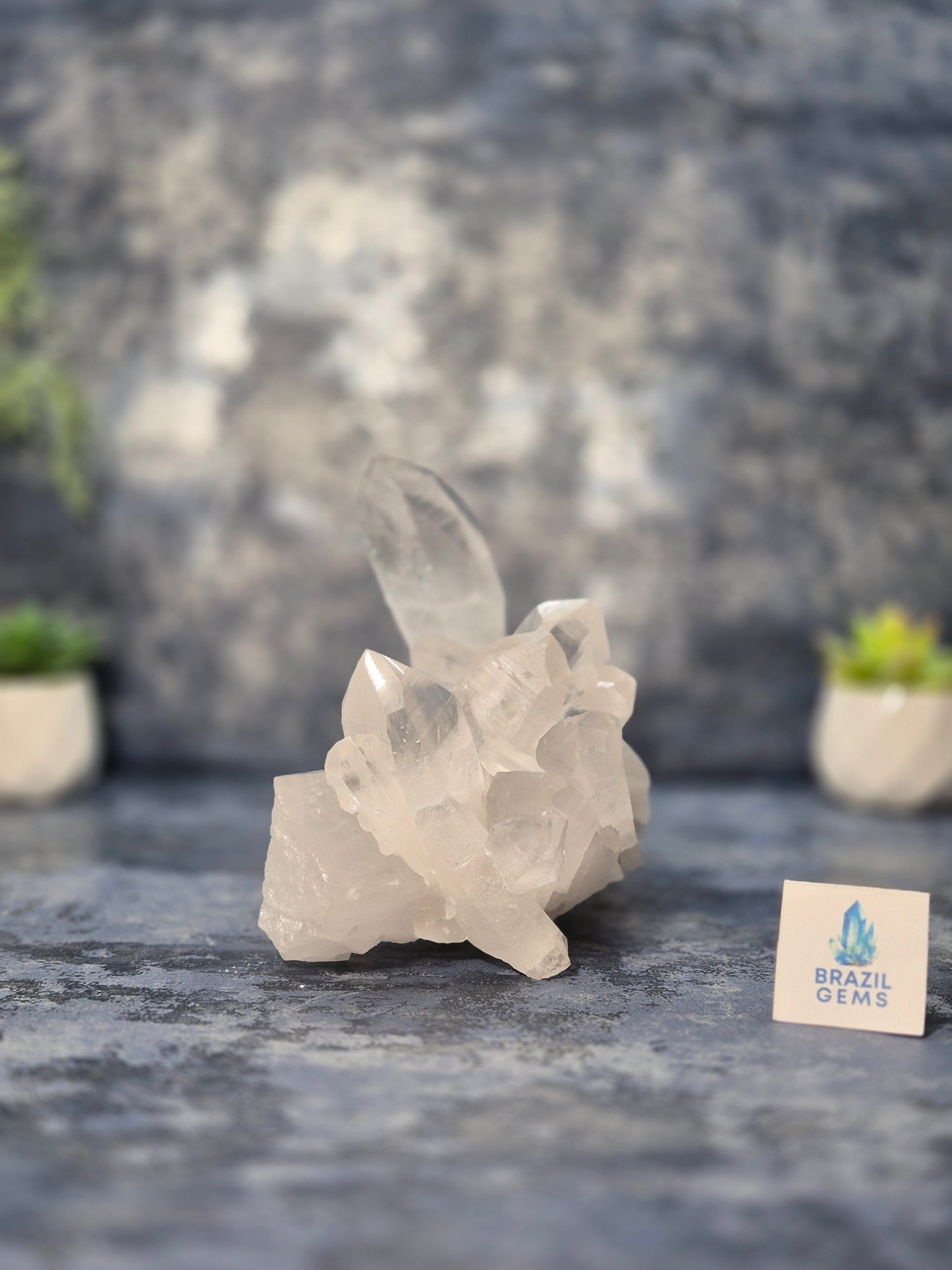 Lemurian Quartz Cluster