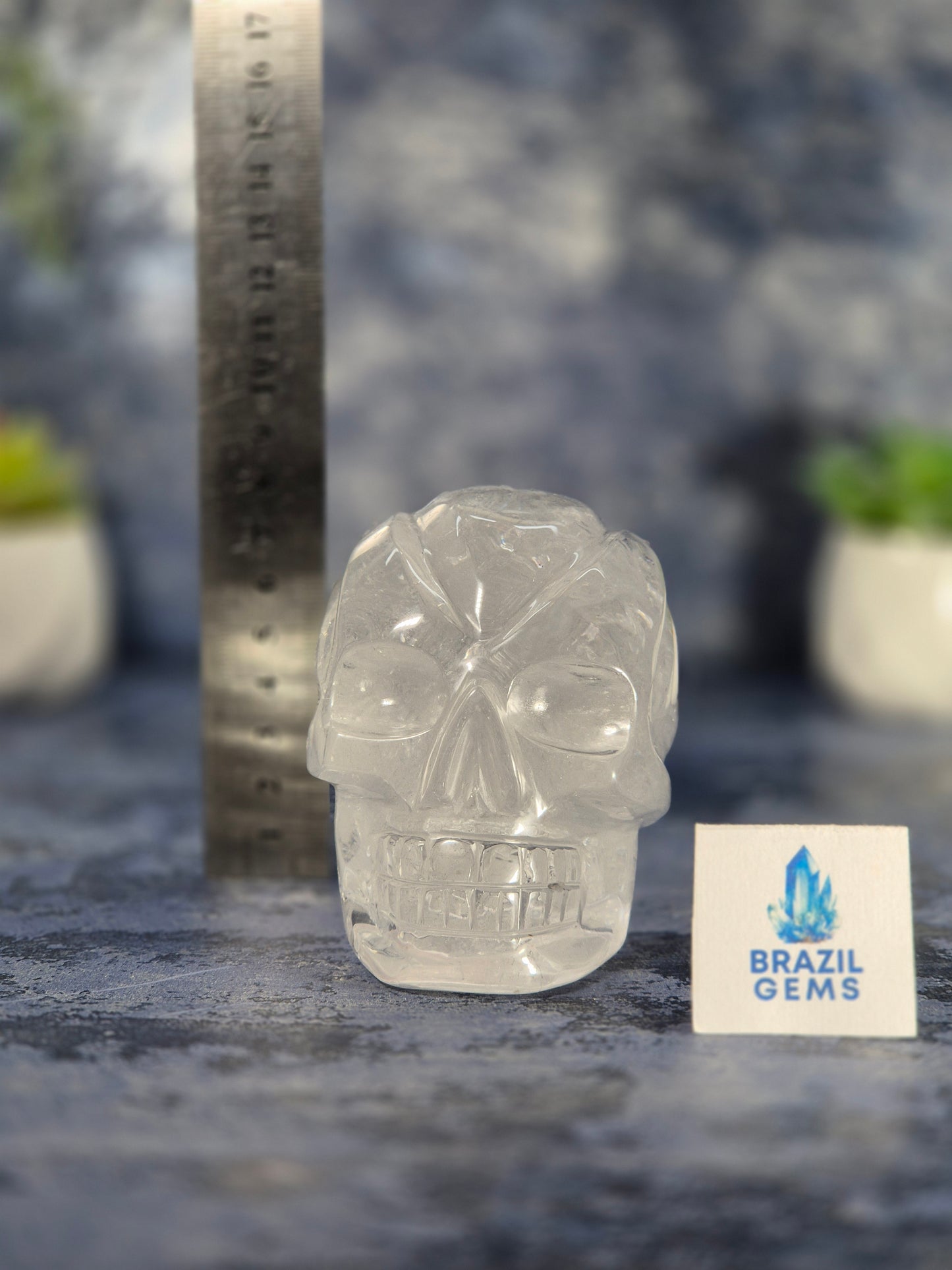 Lemurian Quartz Traveller Skull with Rainbow