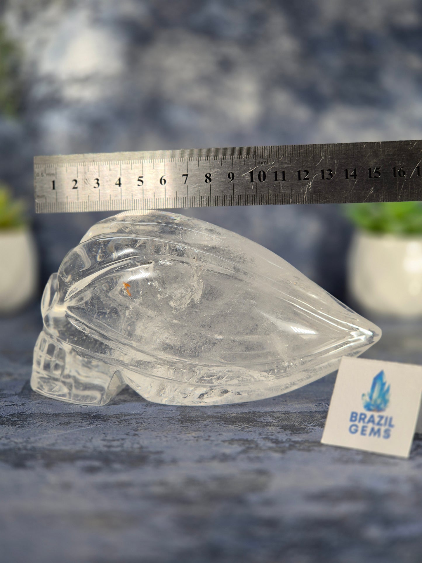 Lemurian Quartz Traveller Skull with Rainbow