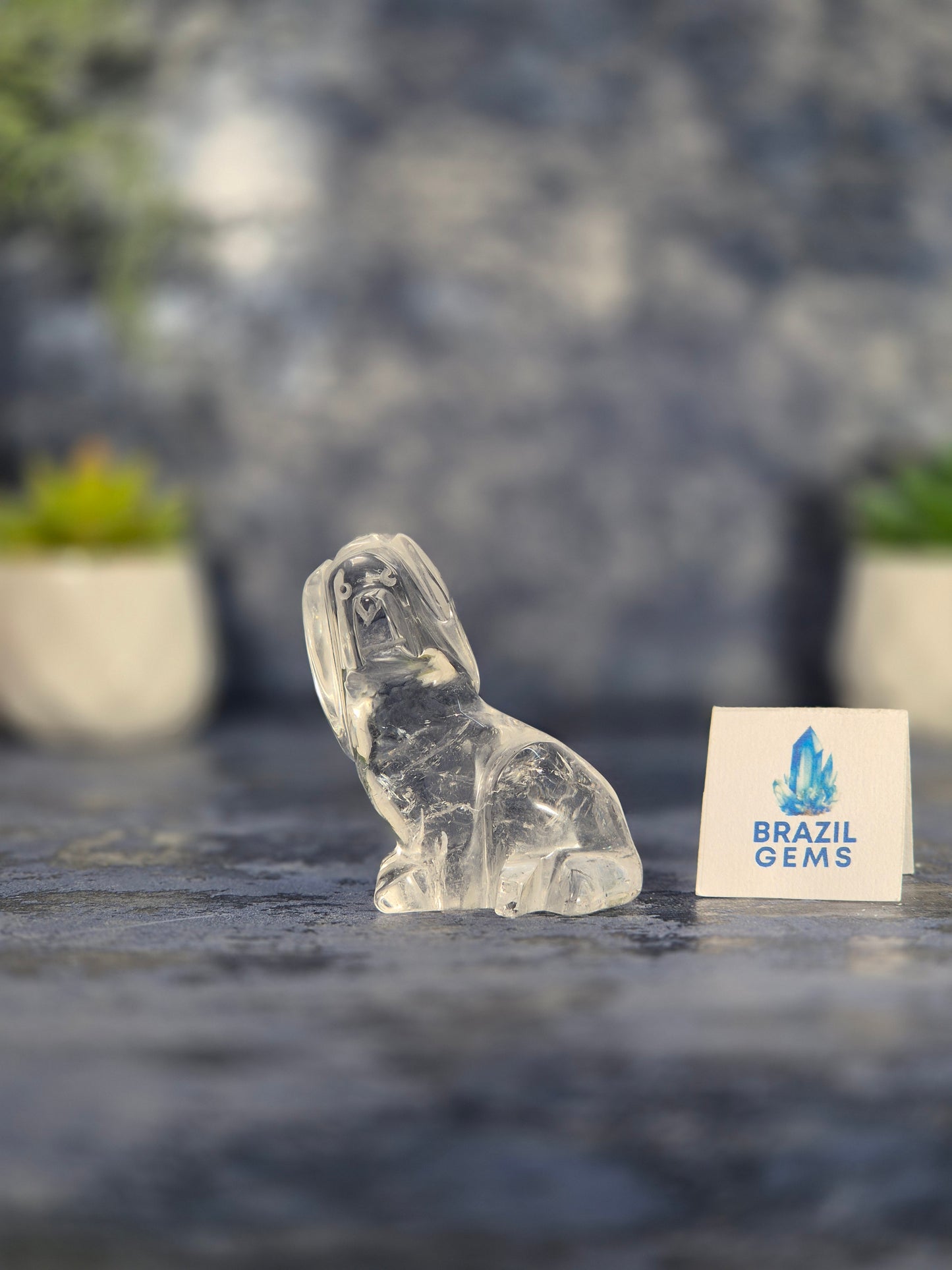 High Grade Clear Quartz Dog
