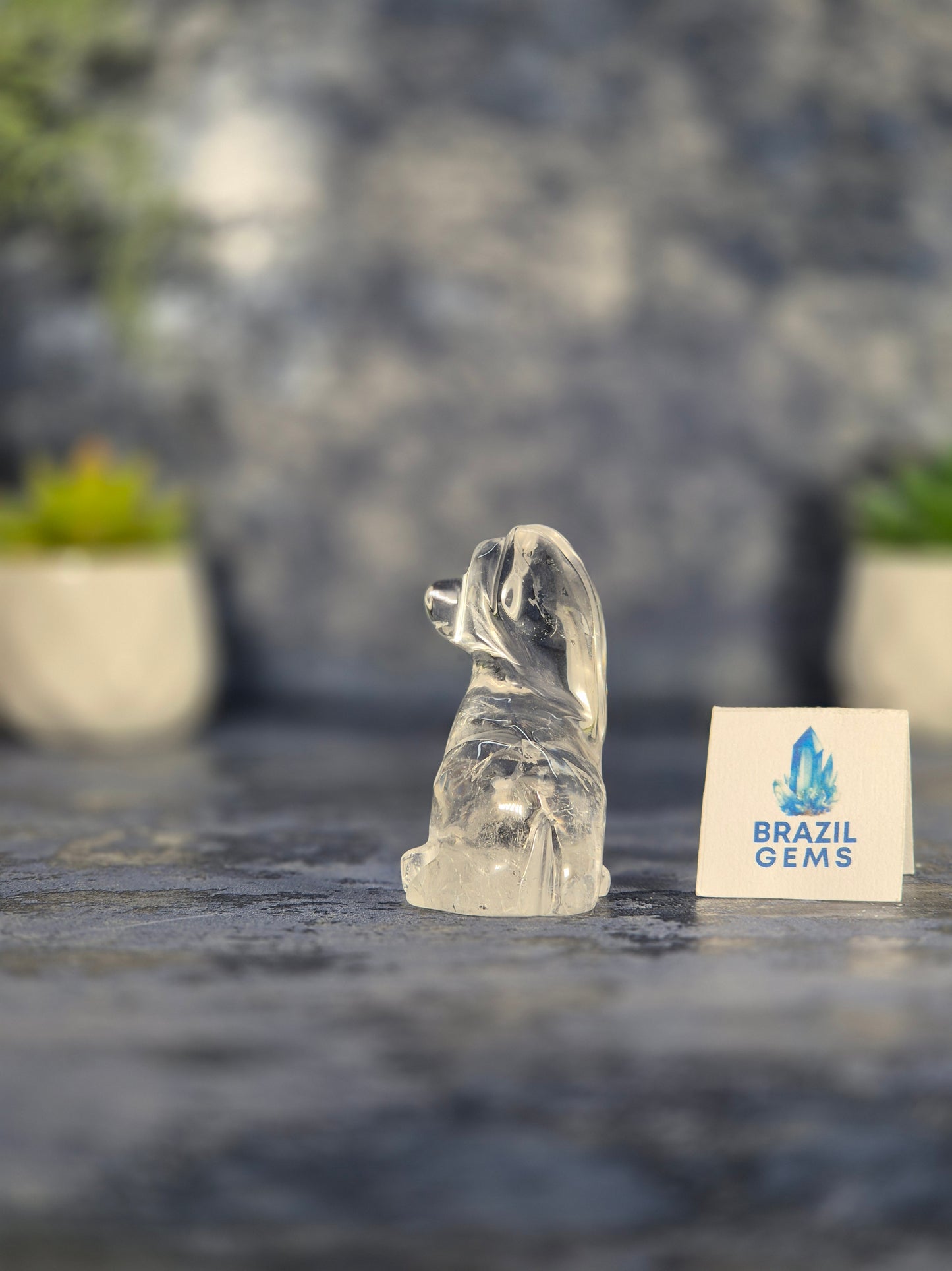 High Grade Clear Quartz Dog