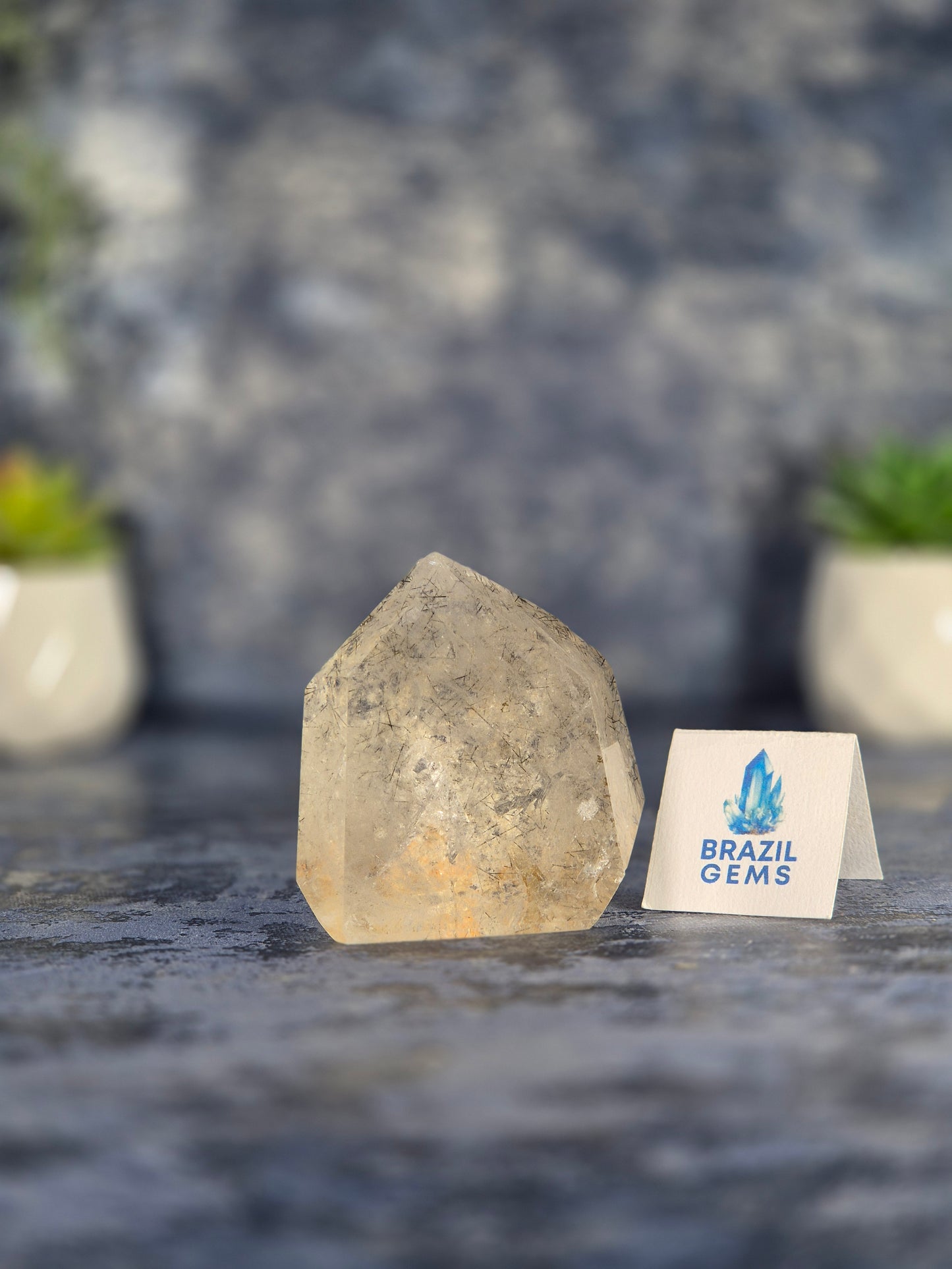 Clear Quartz Point with Black Tourmaline Needles