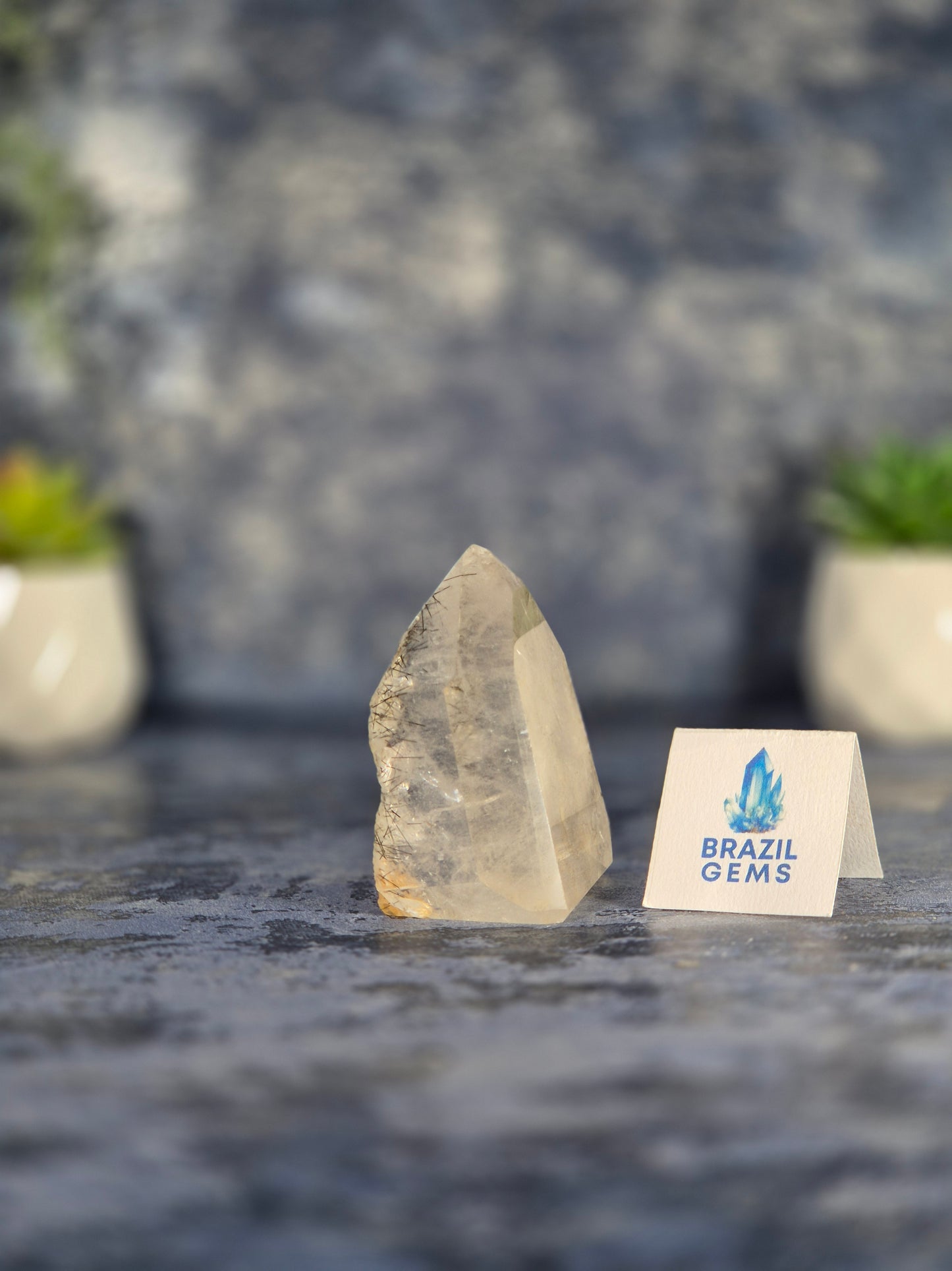 Clear Quartz Point with Black Tourmaline Needles