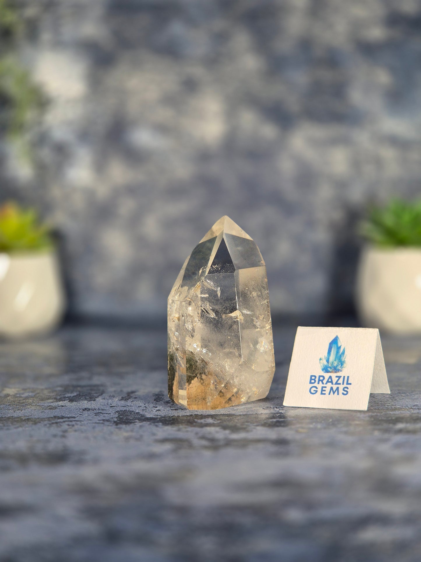 Clear Quartz Point with Chlorite and Lodolite Inclusions