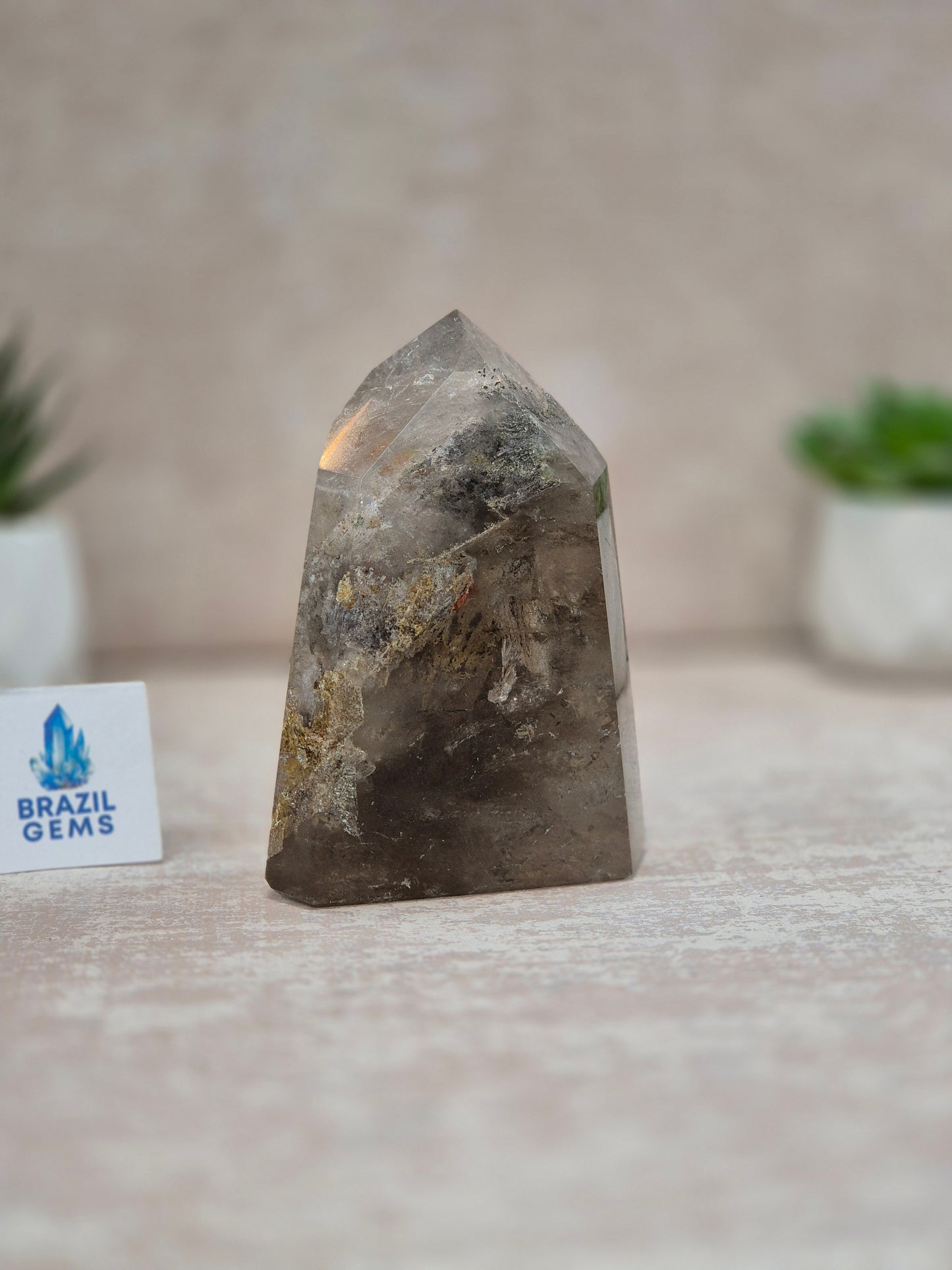 Clear Smoky Quartz with Lodolite Inclusions Point