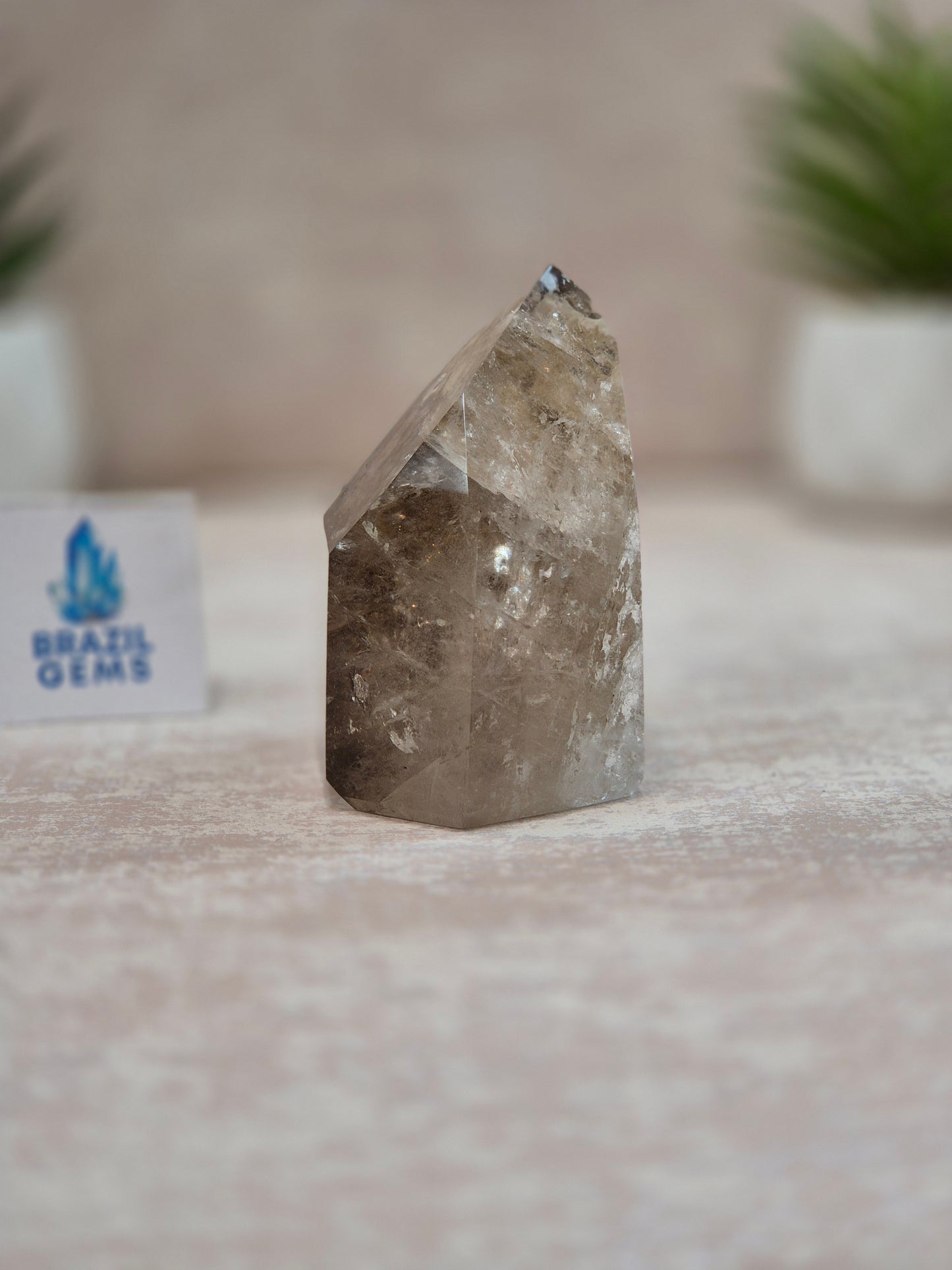 Smoky Quartz with Lodolite Inclusions Point