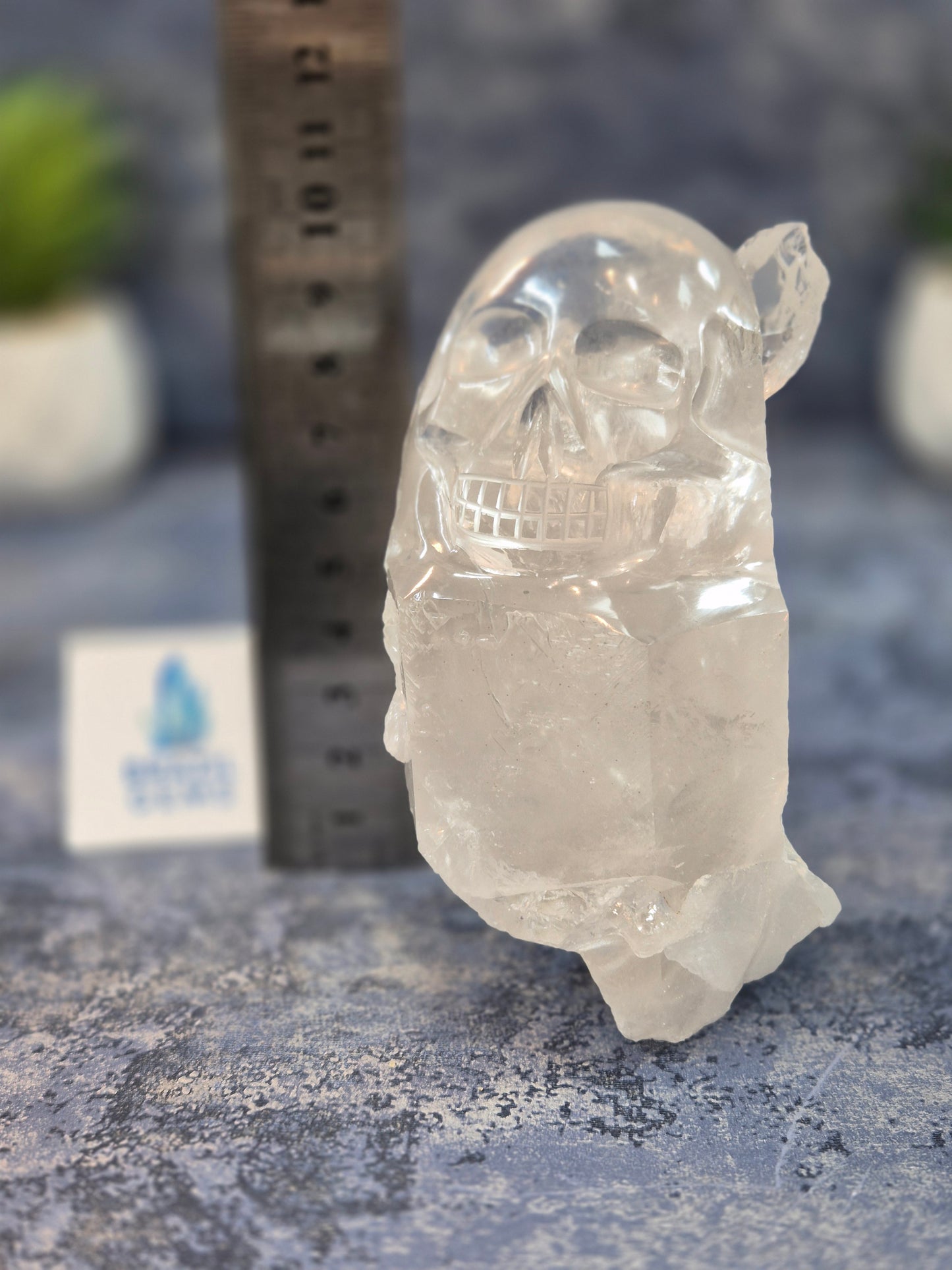 Hand Carved Clear Quartz Skull on Natural Cluster Base