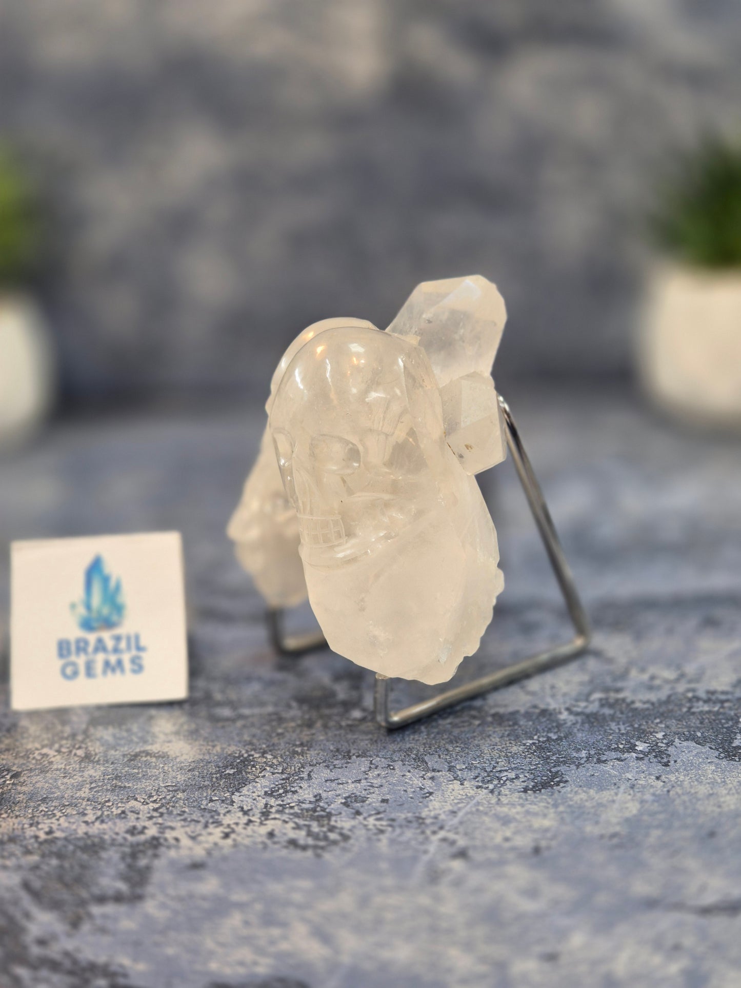 Hand Carved 2 Clear Quartz Skulls on Natural Cluster Base