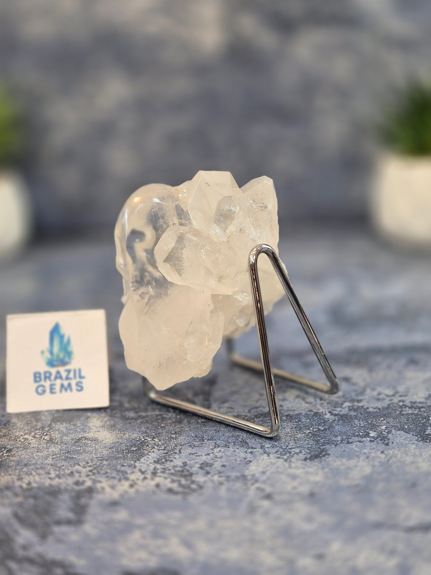 Hand Carved 2 Clear Quartz Skulls on Natural Cluster Base