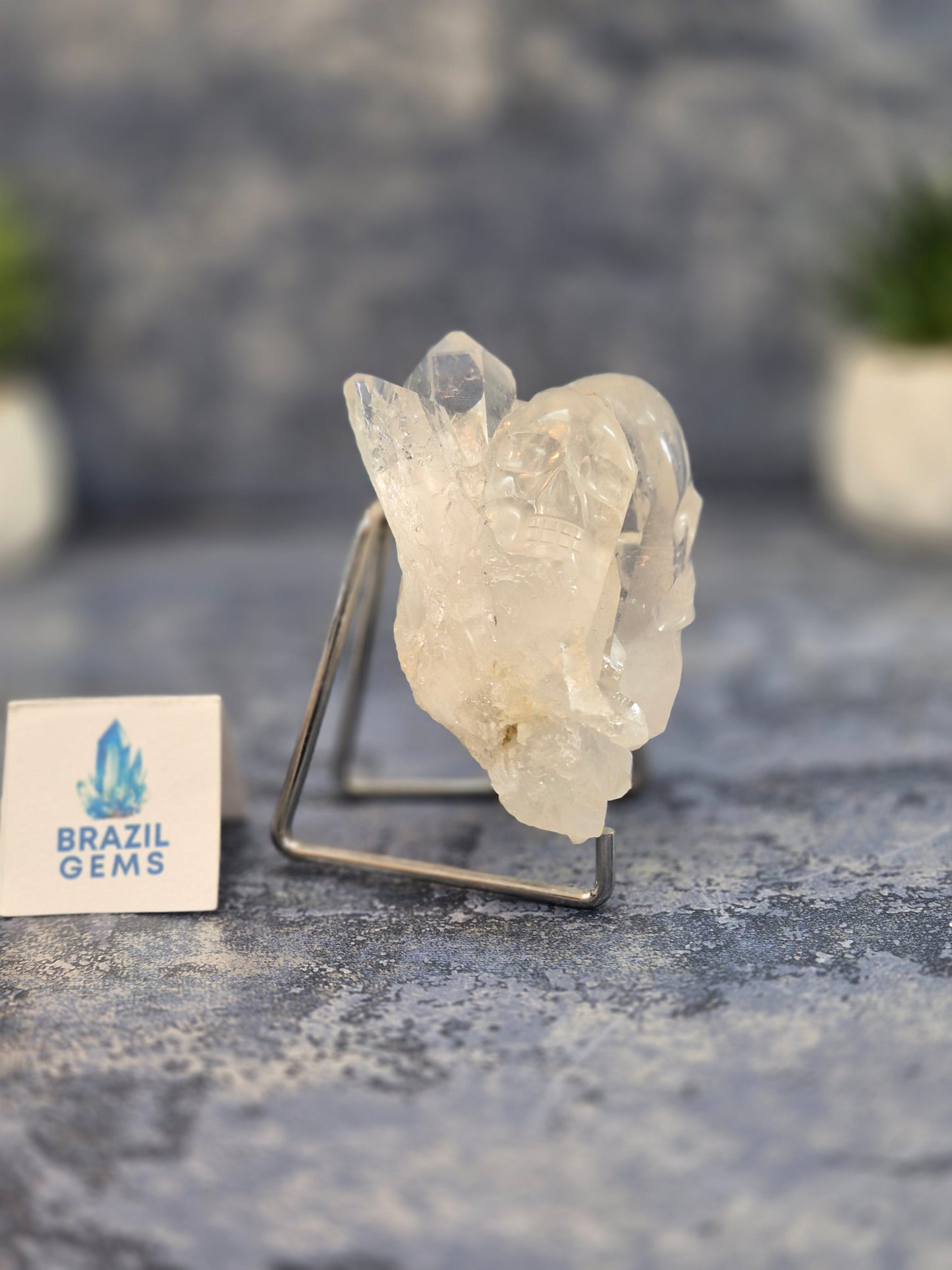 Hand Carved 2 Clear Quartz Skulls on Natural Cluster Base