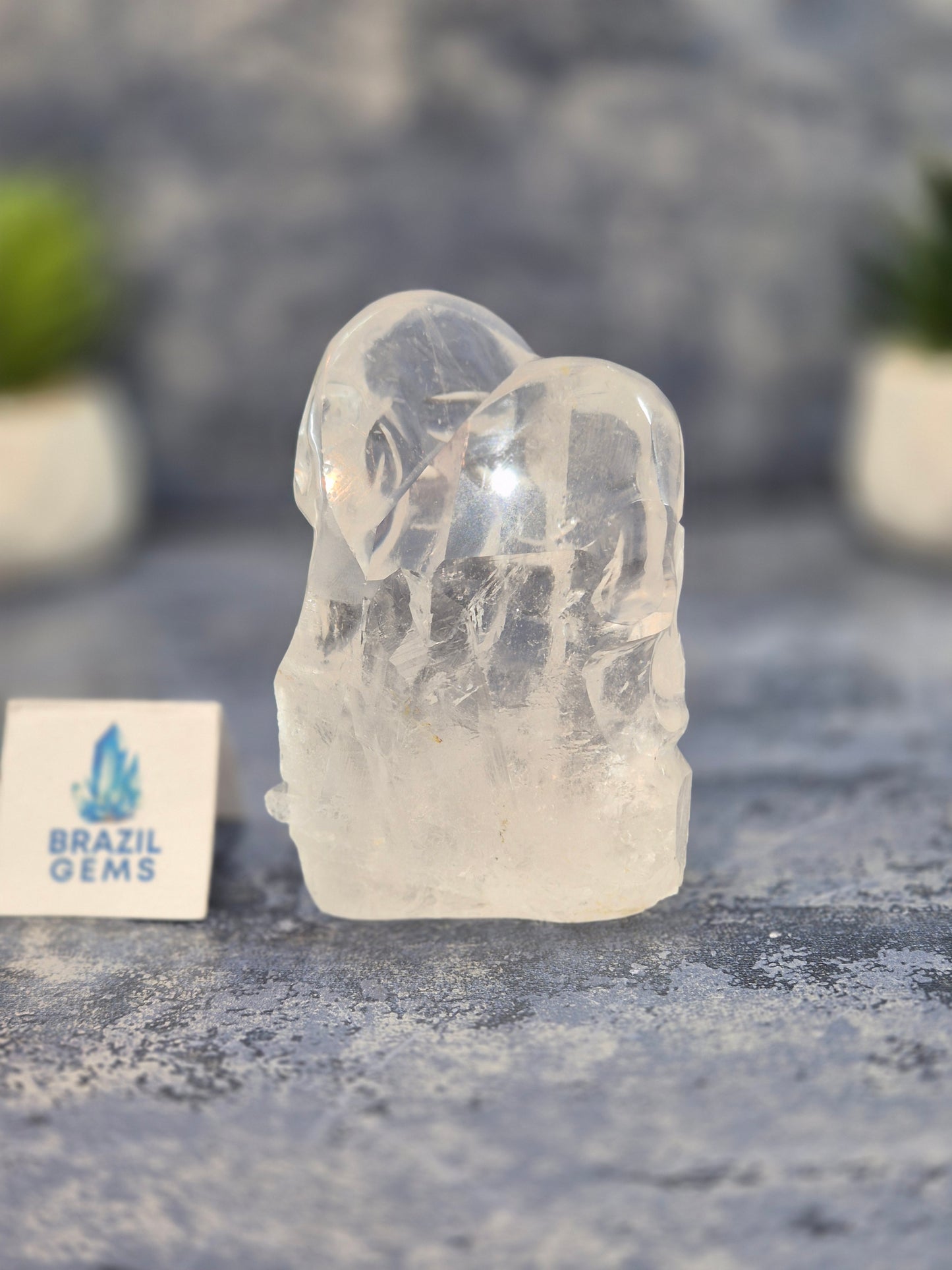 Hand Carved 2 Clear Quartz Skulls on Natural Cluster Base