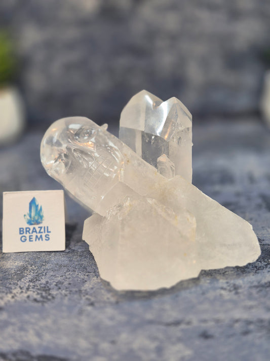 Hand Carved Clear Quartz Skull on Natural Cluster Base