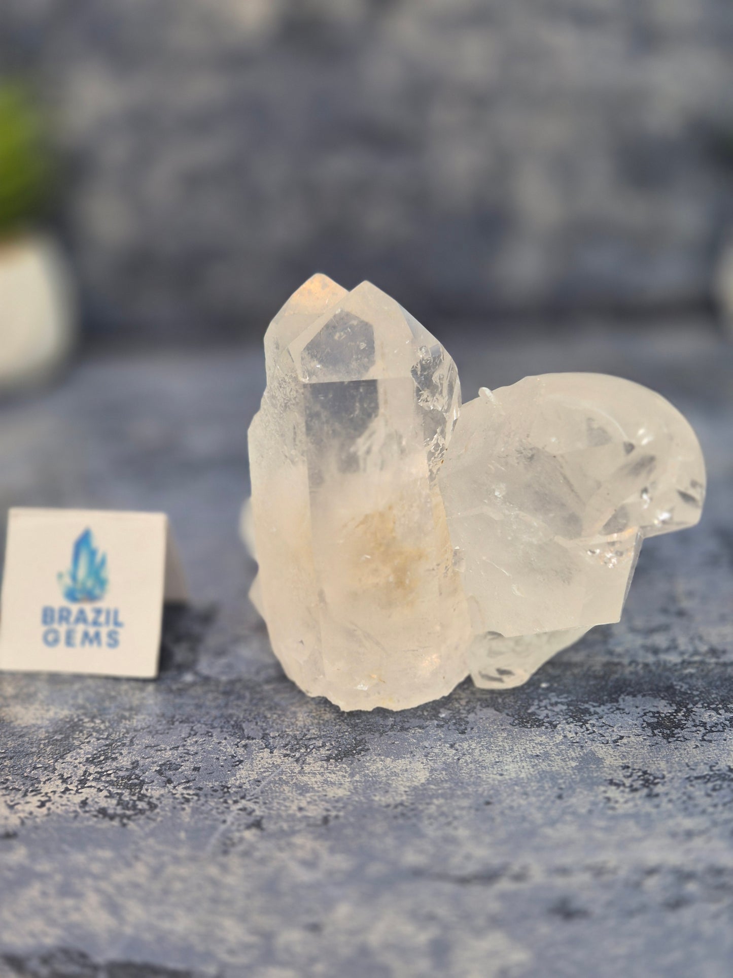 Hand Carved Clear Quartz Skull on Natural Cluster Base